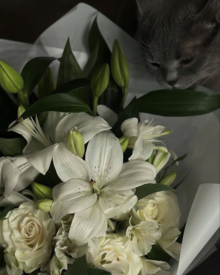 mightlune's tweet photo. — 𝐀𝘵𝘩𝘦𝘯𝘢’𝘴 𝗎𝗉𝖽𝖺𝗍𝖾 : 𝒥𝗎𝗌𝗍 𝗋𝖾𝖼𝖾𝗂𝗏𝖾𝖽 𝖿𝗅𝗈𝗐𝖾𝗋𝗌 𝖿𝗋𝗈𝗆 𝗍𝗁𝖾 𝗅𝗈𝗏𝖾 𝗈𝖿 𝗆𝗒 𝗅𝗂𝖿𝖾 𝗍𝗈𝖽𝖺𝗒! 𝐻𝖺𝗉𝗉𝗂𝖾𝗌𝗍 𝗐𝗈𝗆𝖺𝗇 𝖾𝗏𝖾𝗋 . . . 𓂅 https://t.co/nTURTL19aC