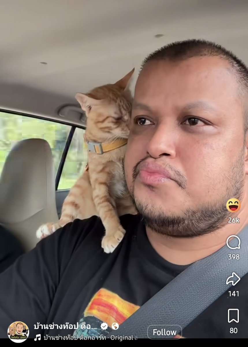 NunaxMx's tweet photo. ไม่อยากไปไหนกะแมวหรอก เมื่อยคอ 5555555555555 https://t.co/5IROzfhzQi