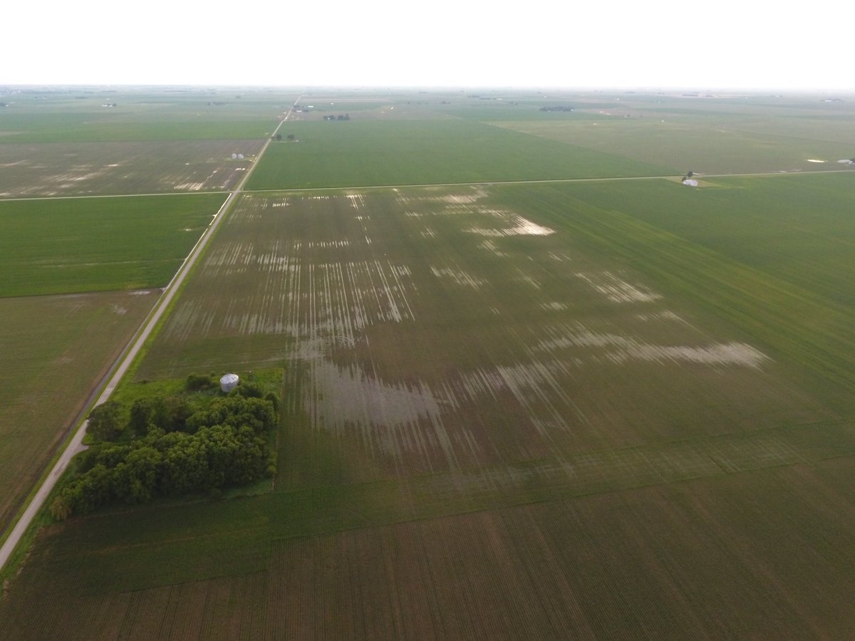 Ron_Elo_Haase's tweet photo. Same #Field East 1/2 vs West 1/2
#Plant26
#Corn26
#Milho26
#DroughtIsOver
#SaturatedSoils https://t.co/gFRFMbPTci