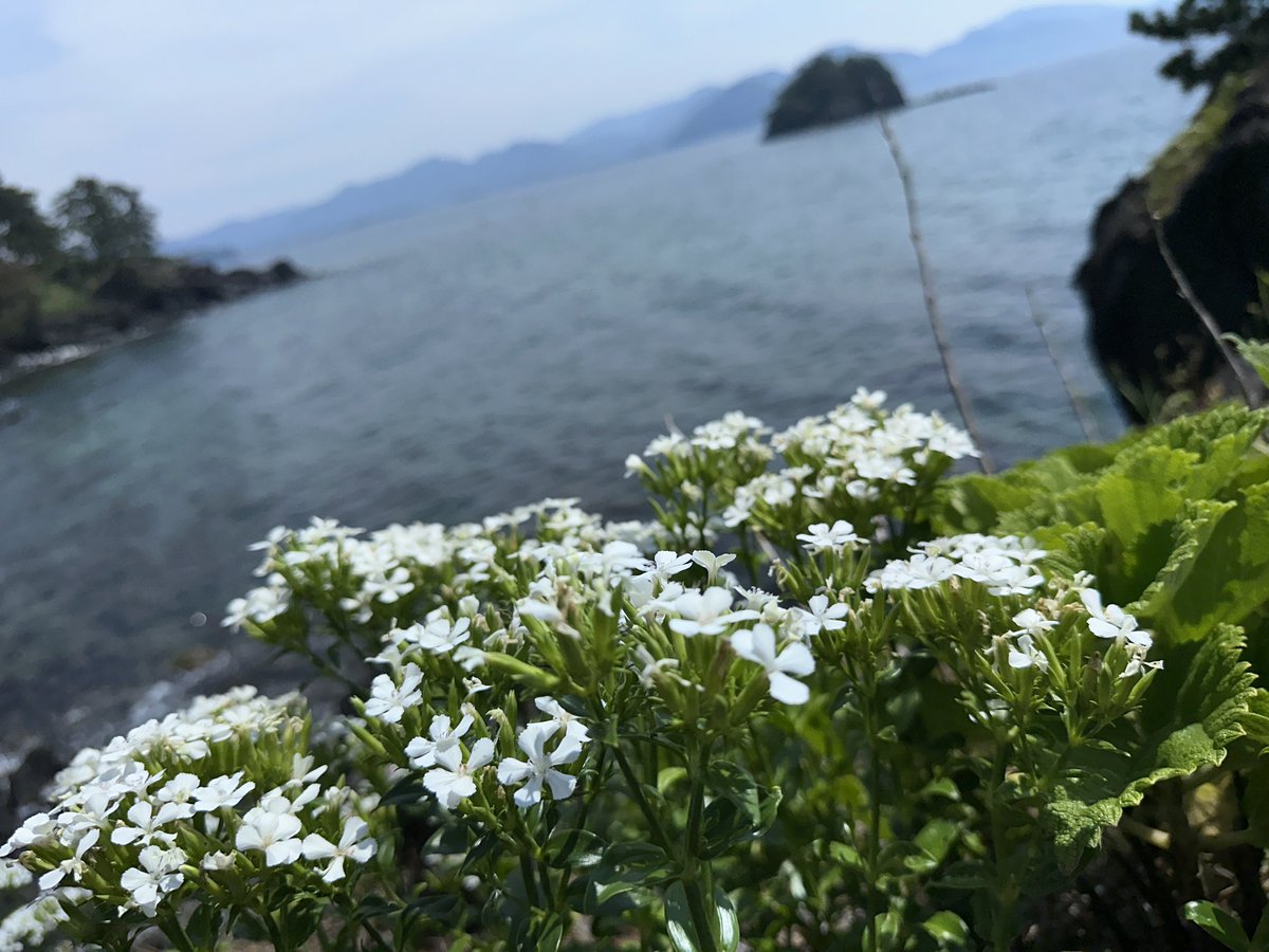 randengo's tweet photo. 継続する力✨

何でも一気にやろうとすると、息切れしてしまう。でも、少しずつなら続けていくことができる🏃‍➡️

毎日ほんの一歩でも、数問でも、それを積み重ねることができた人が最後に笑う。

才��よりも、続ける力。
継続こそ、何よりも確かな力になる☝️ https://t.co/oaEXJvM33X