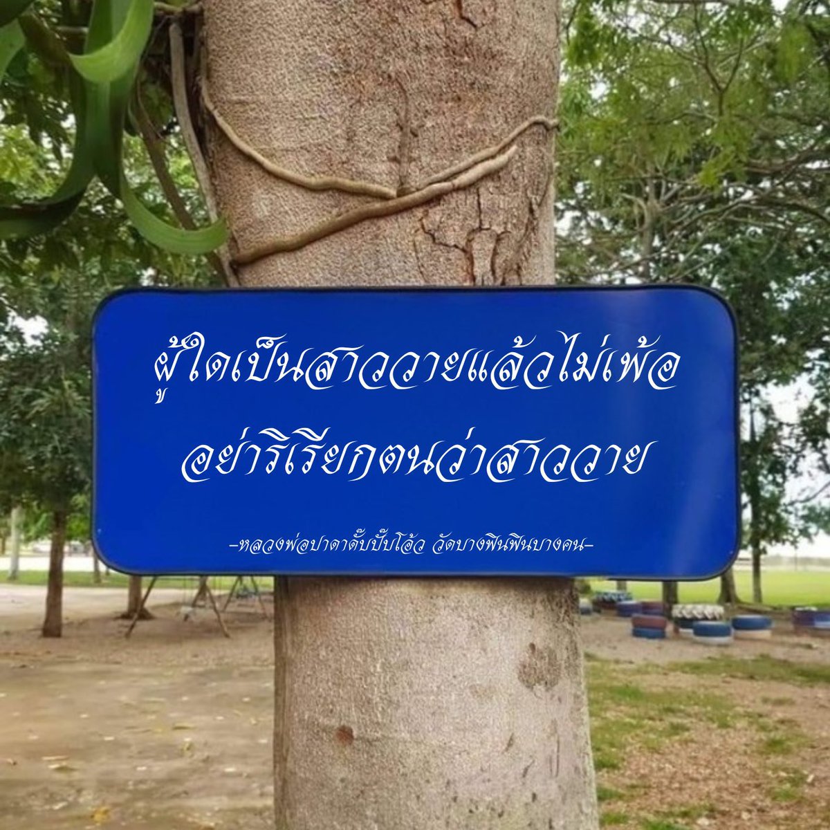 taebootif's tweet photo. แด่สาววาย 

#ติ๊กฟ้า https://t.co/4BOXEcP2tU