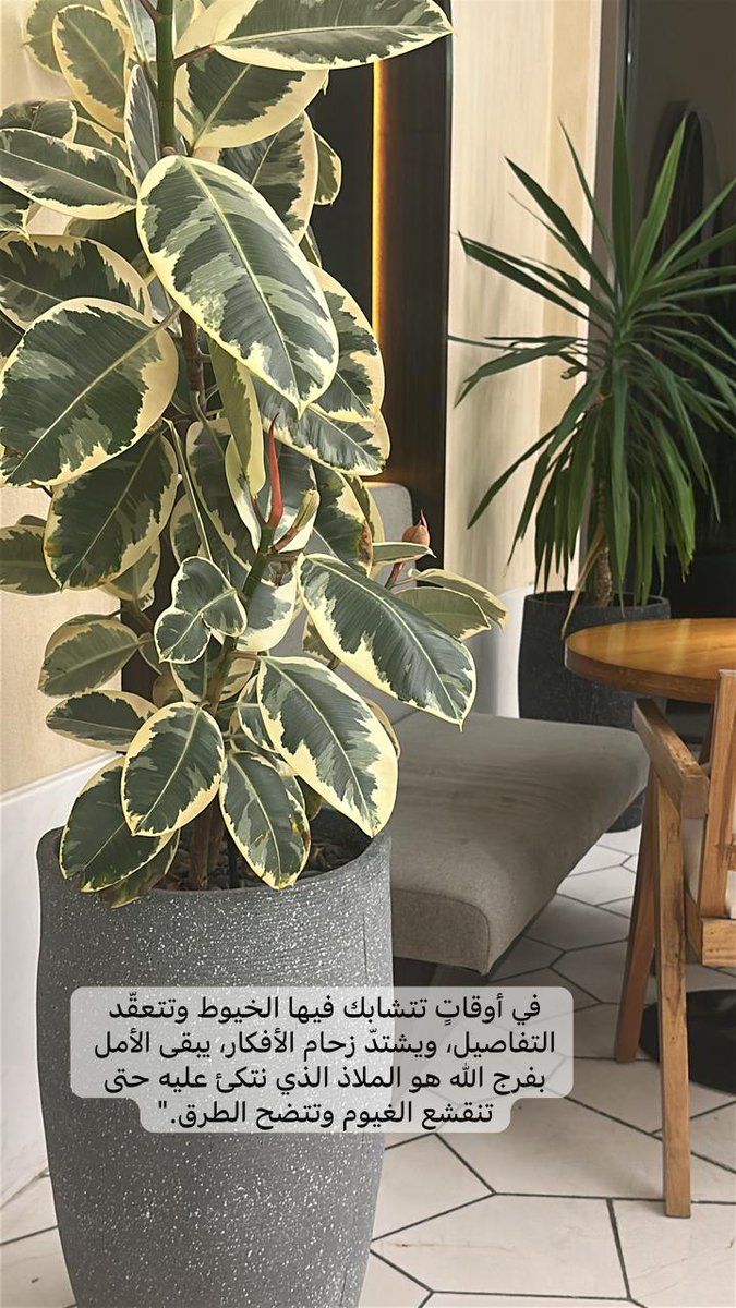 s2001rs's tweet photo. https://t.co/EXwgTjuLMl