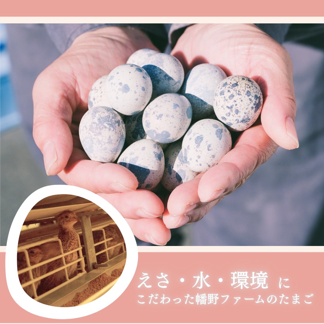 うずらちゃん (@idd_o7) / Posts / X