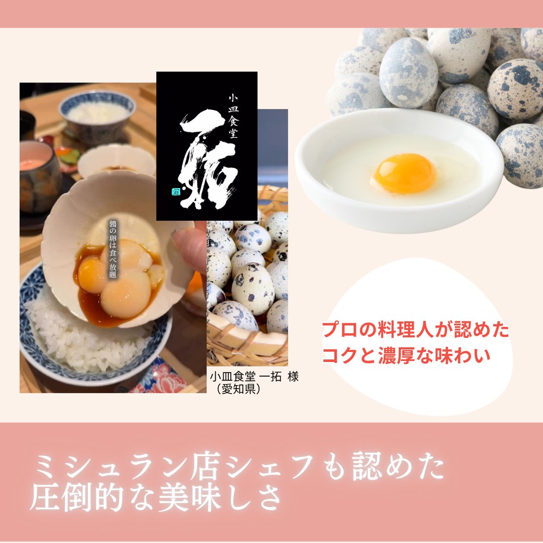 うずらちゃん (@idd_o7) / Posts / X