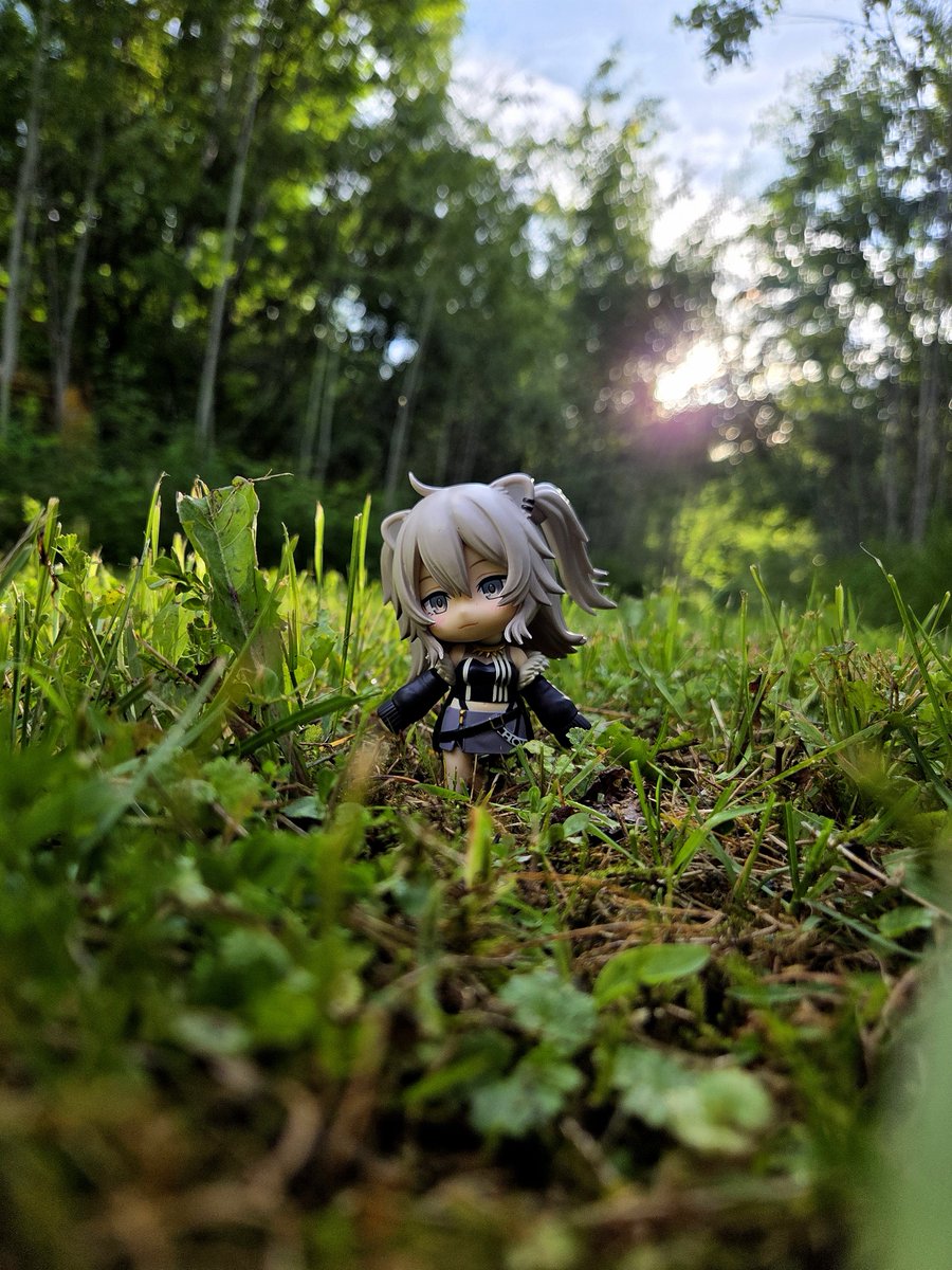 FrostyNendo's tweet photo. Shishiro out enjoying the fresh scent after the rain.
#SSRB #ししらーと  #gscfiguresirl #hololive #nendography https://t.co/HF10NdWz6i