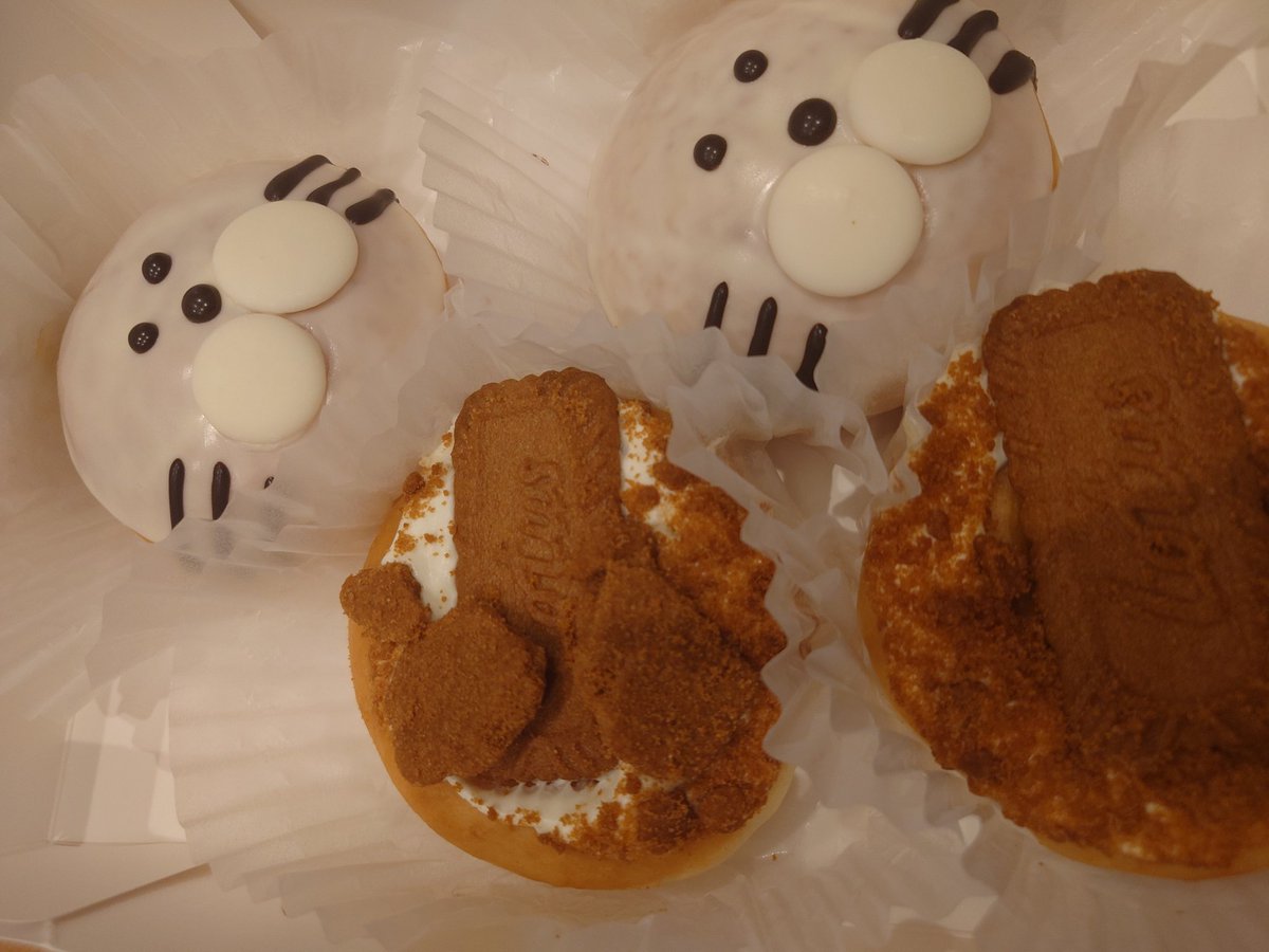 もちべーぐる🥮🥯（本物） (@moche_bns) / Posts / X