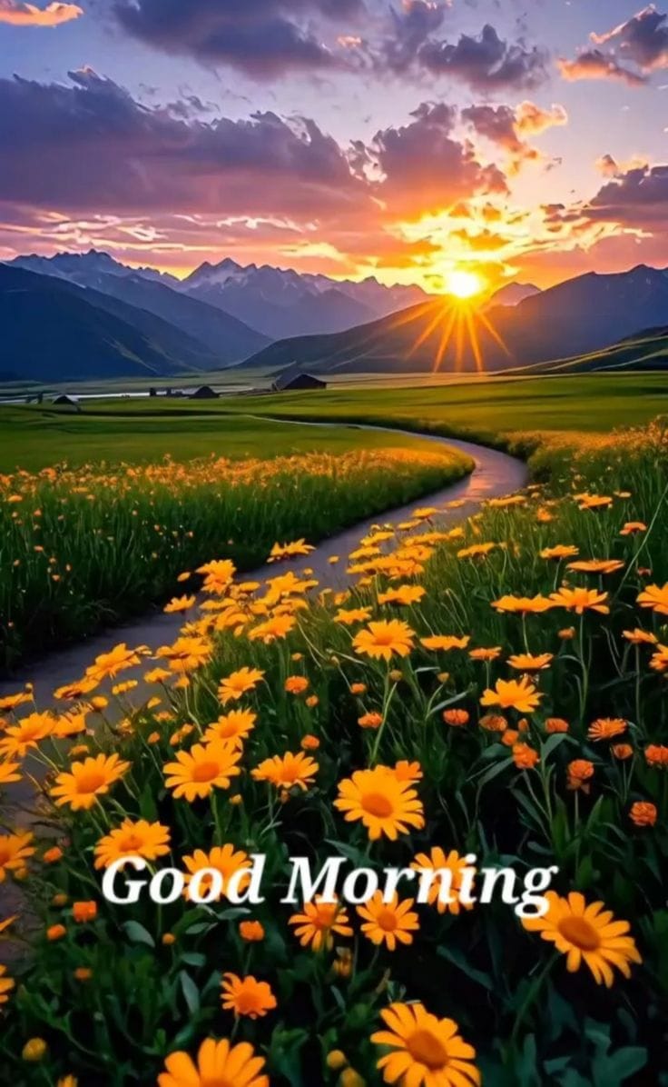Shail591's tweet photo. #goodmorningfriends Have a lovely day 😊😊😊 https://t.co/mRtj7Y8QYP