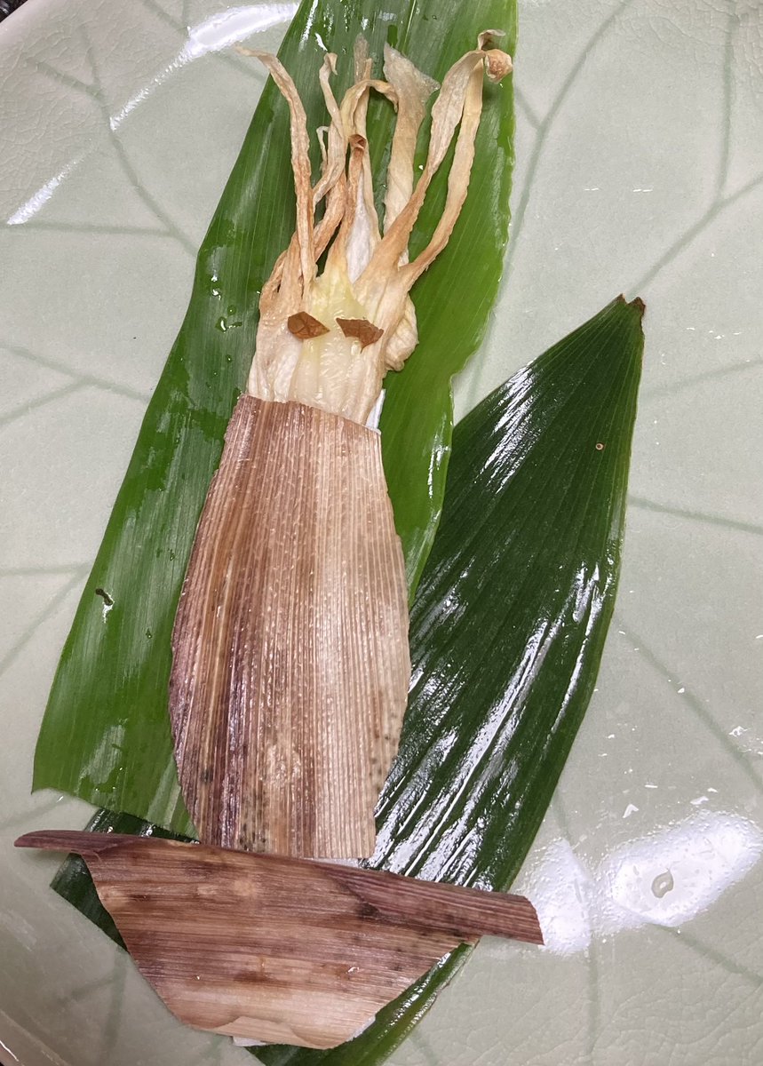 yPeeFnfujS13875's tweet photo. 2026.6.18

🟥🌽イカ🦑になりたい🟥🌽

釣り上げたばかりの、スルメイカをイメージして、大和ルージュの皮でイカ🦑を作って見ました。新鮮なイカ🦑にいた、アニサキスで、なんとも言いようのない、不快な痛みを体験したのに、懲りずにお刺身とは仲良しです🤭

#大和ルージュの皮　
#イカ https://t.co/kJA8uOdUXC