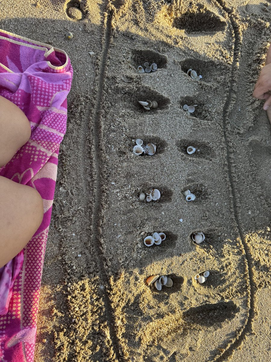 ers0618's tweet photo. Beach mancala 🐚 https://t.co/xCR0054PqT