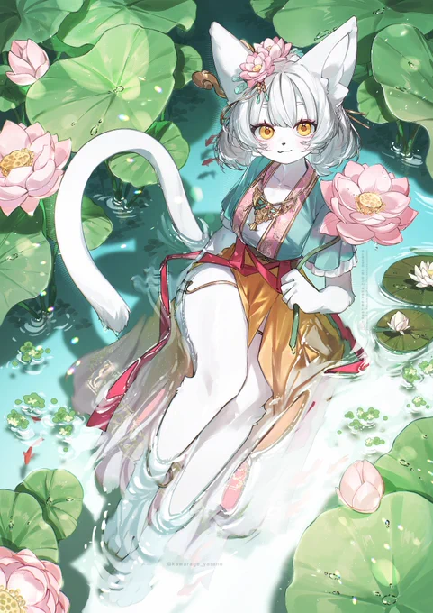 蓮と白猫