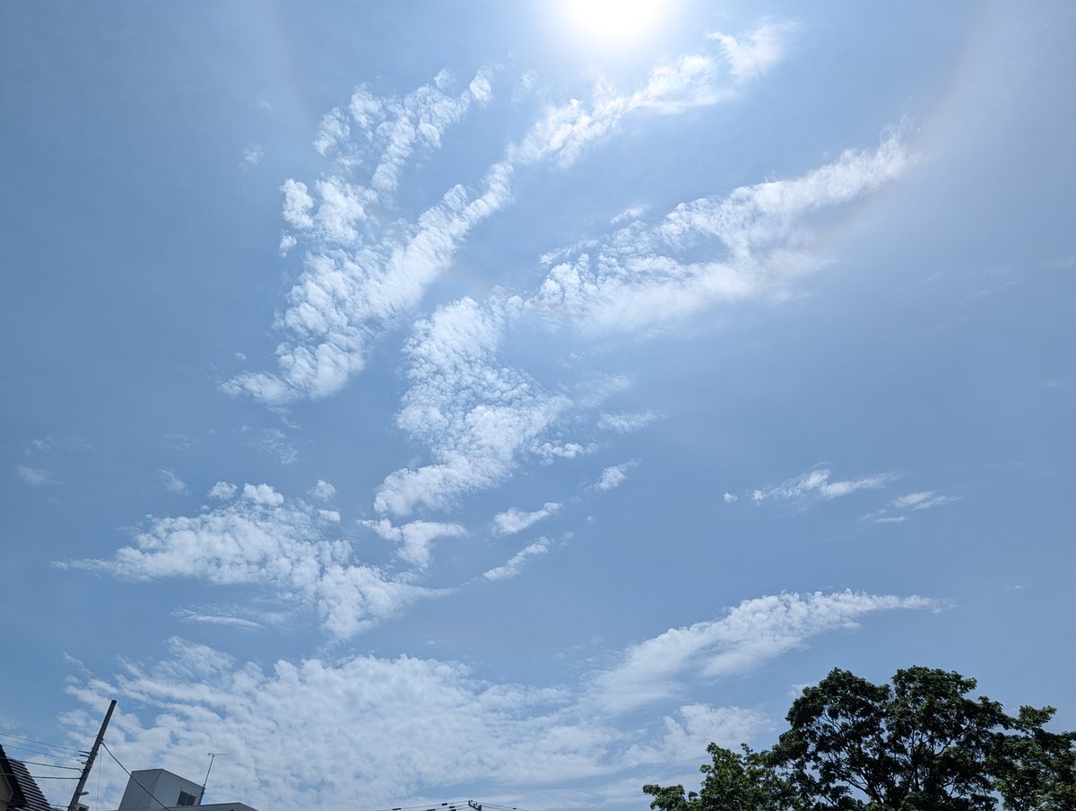 sky_kihs's tweet photo. 札幌では明瞭なハロか外接ハロが出ています。下の方には環水平アークらしき虹色も見えています #イマソラ #halo_jp https://t.co/hWGIP2sxdl