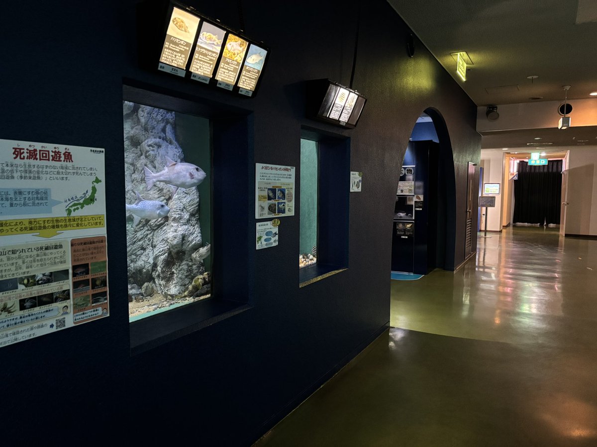 魚津水族館公式 (@uozuaquarium) / Posts / X