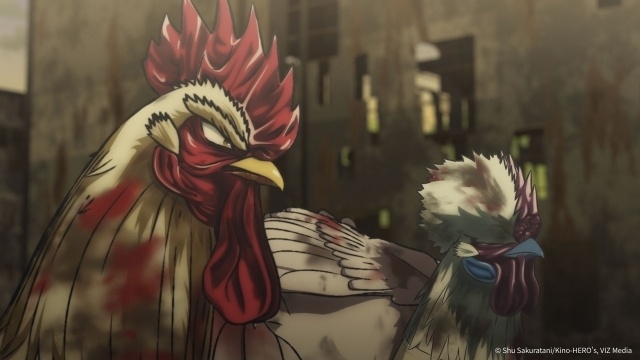 桜谷シュウ 『ニワトリ・ファイター』 Rooster Fighter 第12巻 発売中