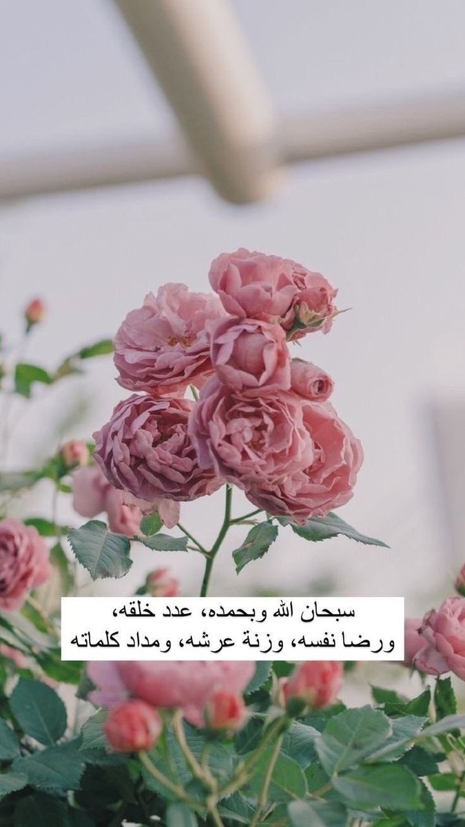 AlgalbHams1's tweet photo. سُبْحَانَ اللَّهِ وَبِحَمْدِهِ
سُبْحَانَ اللَّهِ الْعَظِيمِ.
#سبحَﭑنَﷲ͜وَبحَـــــــمّدِھِْ https://t.co/xw6lKdBU5O