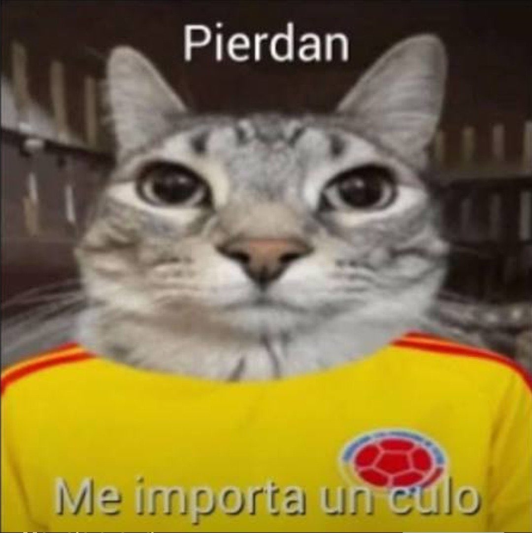 Maaanueeela's tweet photo. Yo la semana     // Yo cuando Colombia   pasada                      hizo gol https://t.co/s0fpg4FFxM