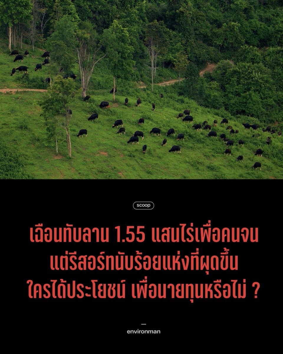 WaewWawvalee's tweet photo. @bi_mynte ทับลาน… ไม่ใช่แค่เรื่องของผืนป่า แต่เป็นเรื่องของคน สัตว์ป่า และอนาคตของธรรมชาติไทย 🌳 https://t.co/OQFldEMC5F