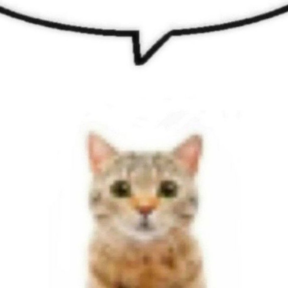 gatinarios's tweet photo. miau miau miau miau miau miau miau miau miau miau miau miau miau miau miau miau miau miau miau miau miau miau miau miau miau miau miau miau miau miau miau miau miau miau miau miau miau miau miau miau miau miau https://t.co/wzv4spqSdK