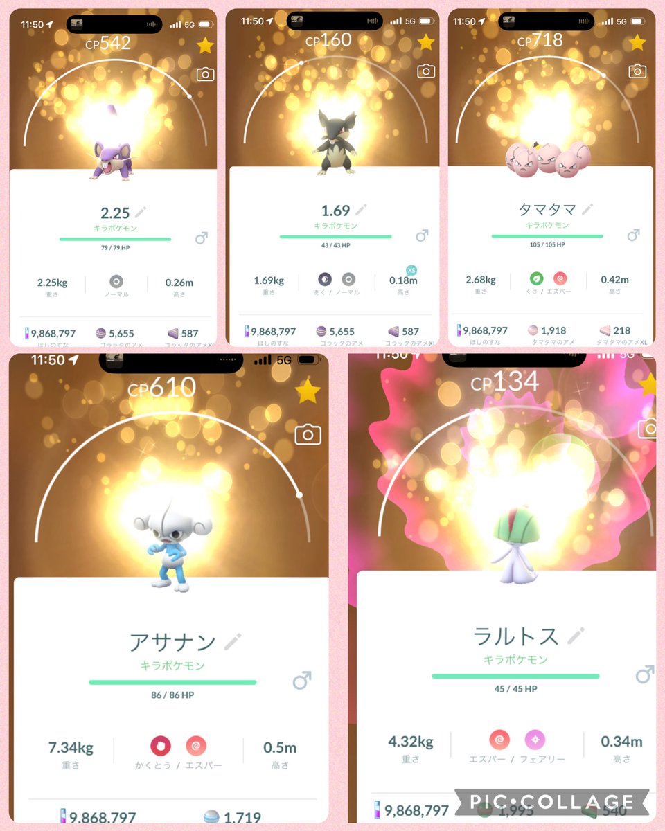 8989tarui's tweet photo. 💯交換ありがとうございました♪😊
コラッタのキラ増えてきてます笑
#ポケモンGO https://t.co/bKsNXZoSDD