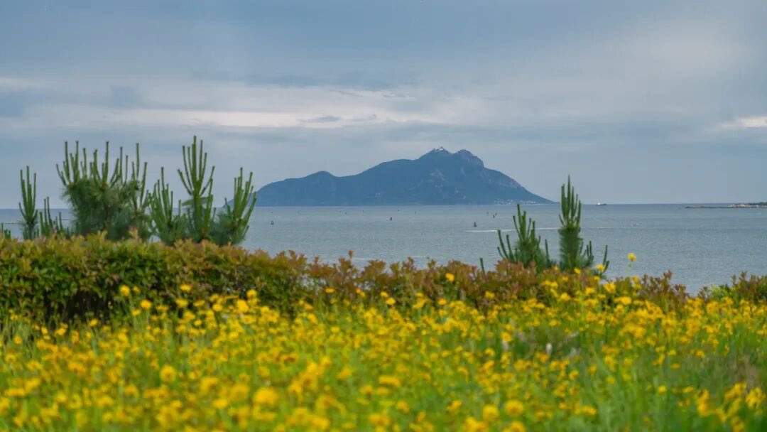 QingdaoAmazing's tweet photo. A romantic treat! Near this beach in Qingdao, you’ll find “Golden Waves.” https://t.co/yyp2rwcVxp