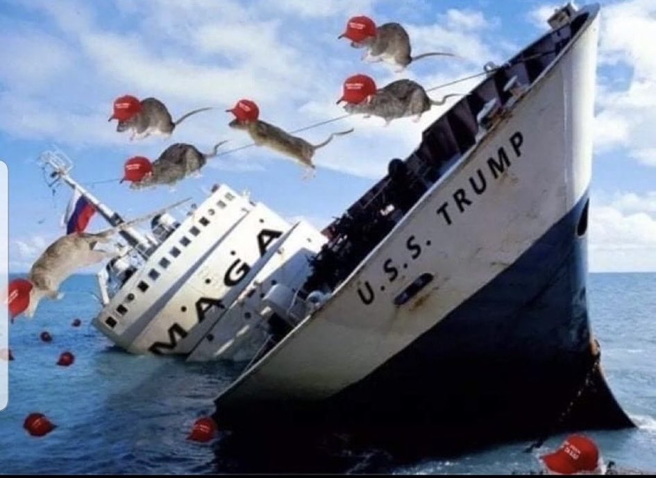 TPBlue4's tweet photo. @JDVance Vance, you had an opportunity to help neutralize grandpa crazy. 

Instead, you chose to lie diabolically like we’re morons. 

The cats. The dogs. 
The trans people. 
The dems. 
Biden
Obama. 

You have zero integrity and we all know it. 

‼️Big mistake. https://t.co/SxS1sH7eKf