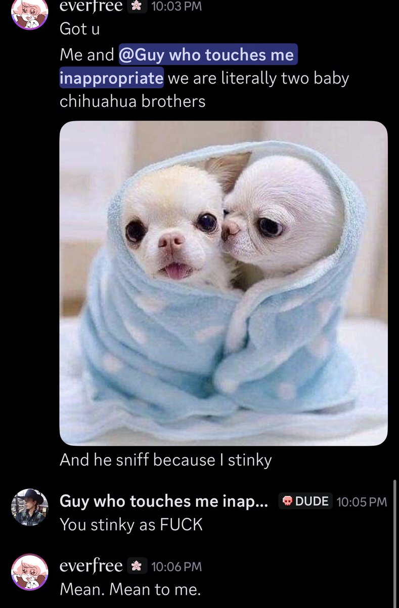 ᘿverfree🐕 ☿ tweet media