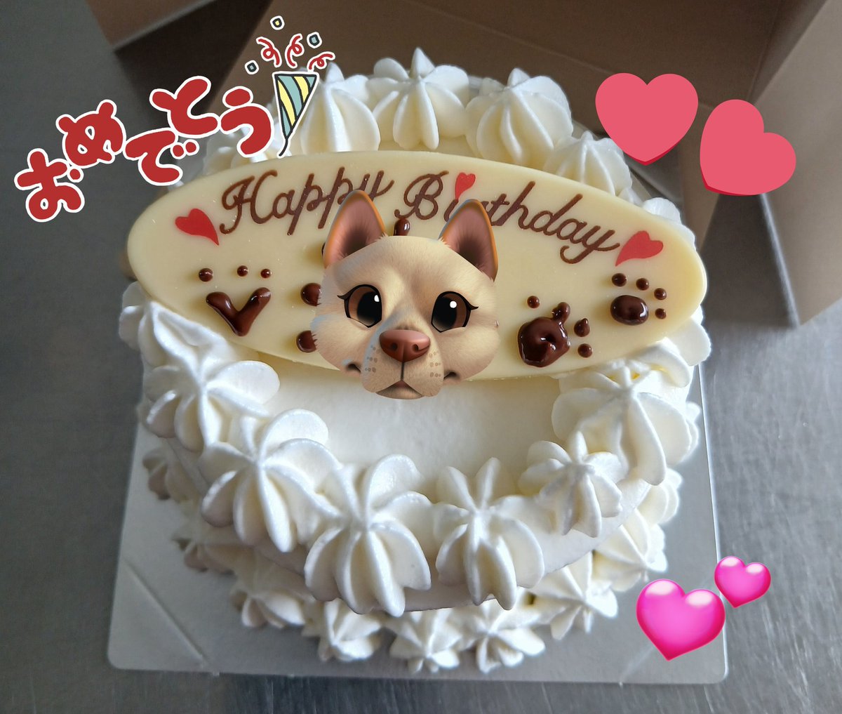 M4CYaCfg2i6938's tweet photo. お久しぶりです、嫁です(*^^*)
久々のワンニャンケーキ御作りしました🐶
飼い主さんとわんこ様に喜んでいただければ幸いです✨
#東海堂　#お菓子　#陸前高田市　#ワンニャンケーキ　#岩手県 https://t.co/fL8FIqIXkP