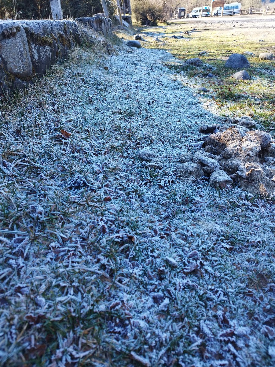 MarioFloripaSC's tweet photo. ❄️❄️ https://t.co/MwLWHoQJ3P