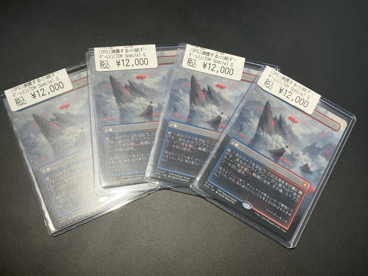 ✨️商品入荷情報✨️ ▷(SPG)沸騰する小湖(ボーダーレス)(TDM Special