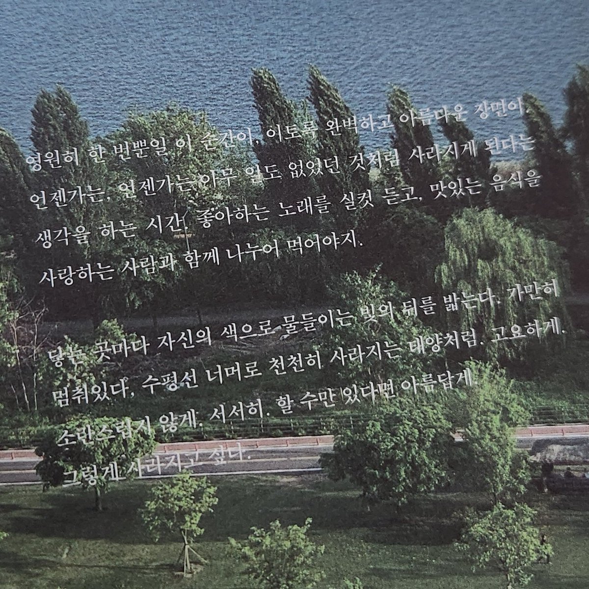 yunthr1e's tweet photo. https://t.co/wblFDJUj7F