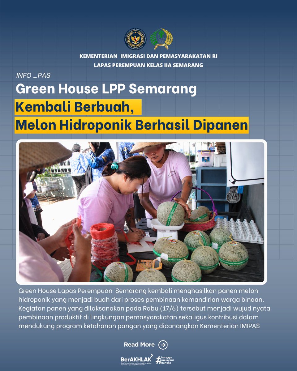 LPP_Semarang's tweet photo. Melalui program budidaya melon hidroponik, warga binaan dilibatkan dalam proses penanaman, perawatan, hingga panen. Dari hasil budidaya tersebut, berhasil dipanen sekitar 25 kilogram melon yang menjadi hasil pembinaan kemandirian berkelanjutan. https://t.co/vG0OmNbNBv