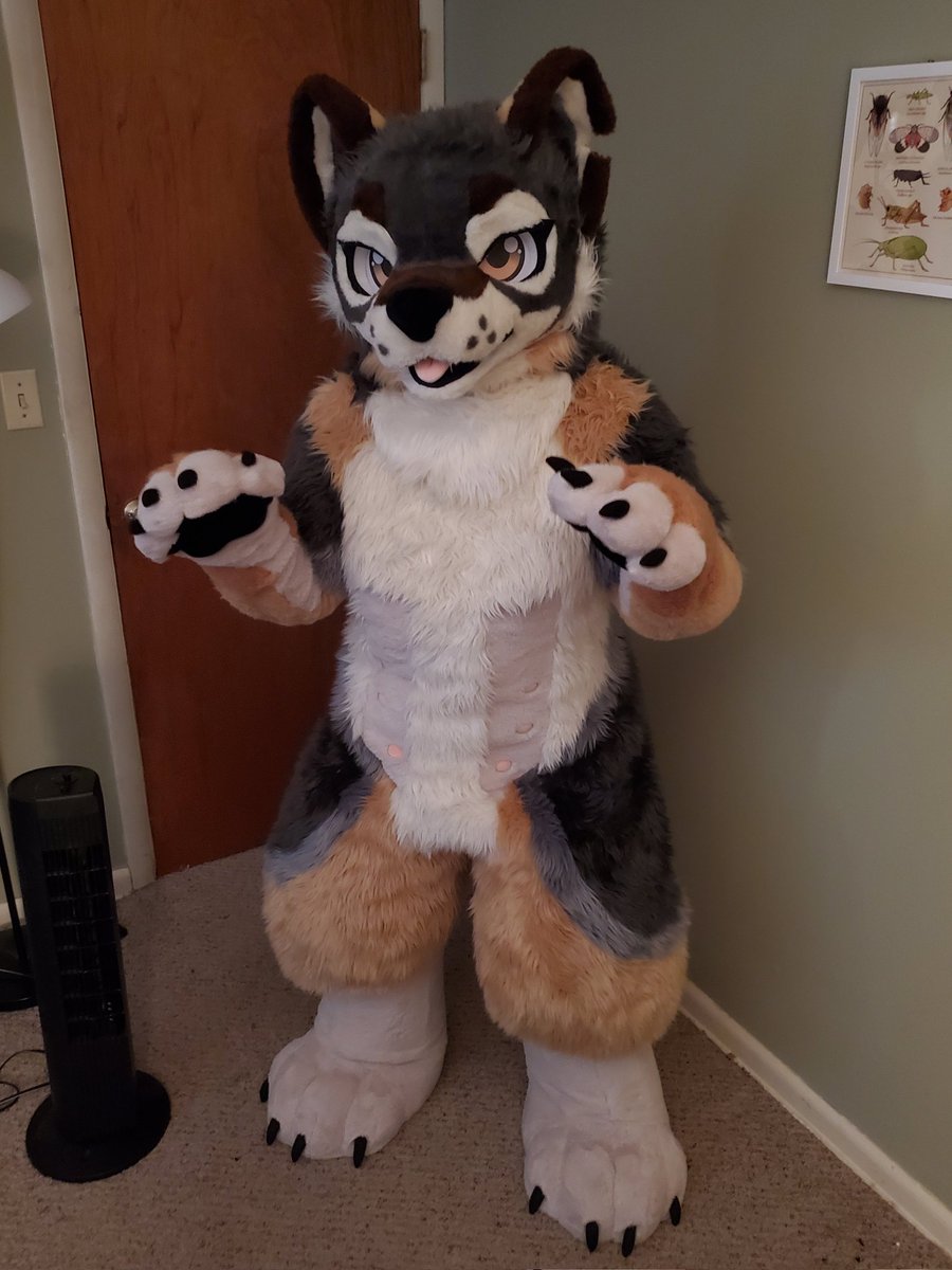 Ginkgo_Elk's tweet photo. Thank you so much @SaoriFur! They are perfect, my partner and I couldn't be happier! https://t.co/QU29b3smeT