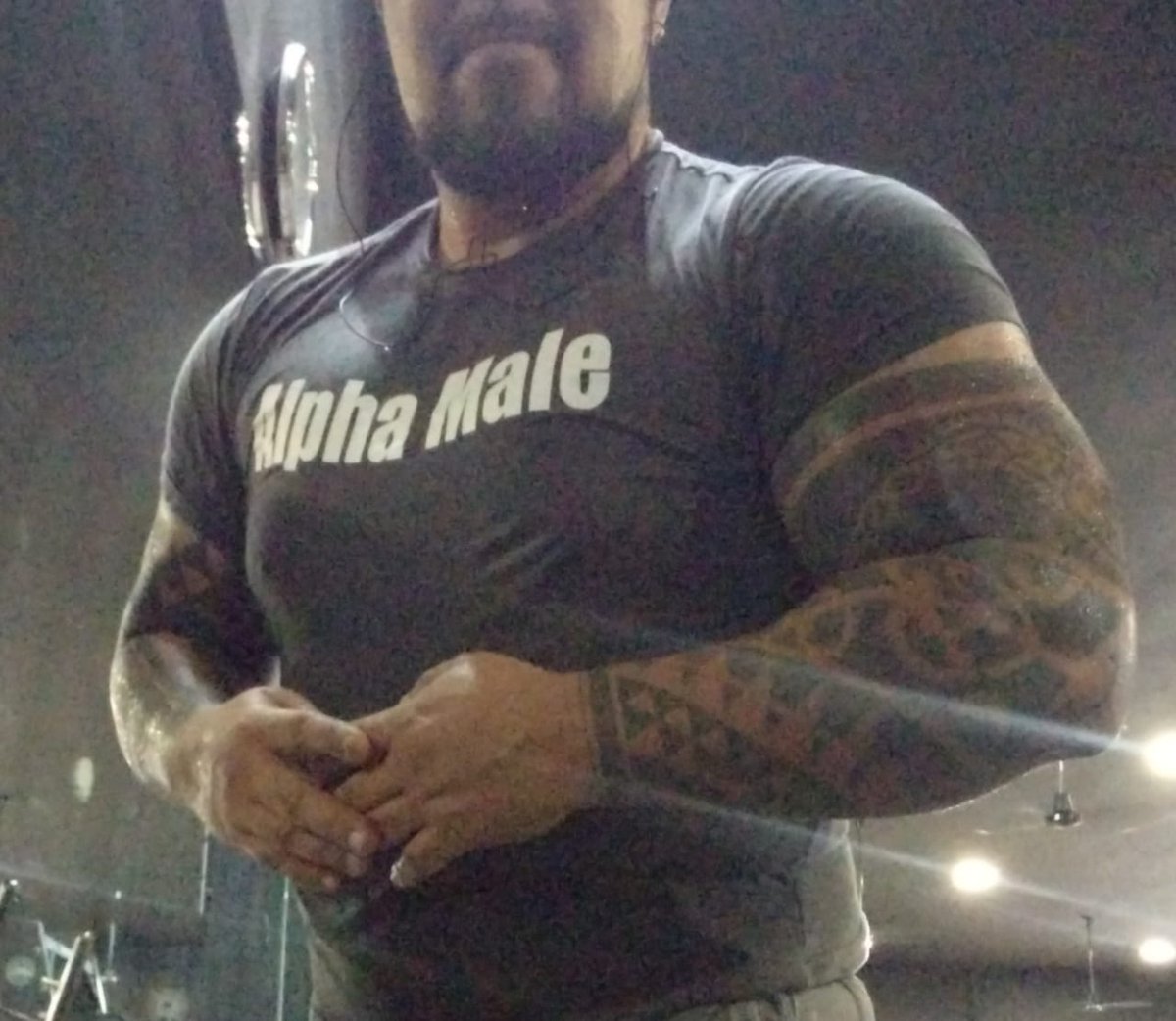 Bullmacho's tweet photo. Alpha on #training https://t.co/JA6a1ZECPk