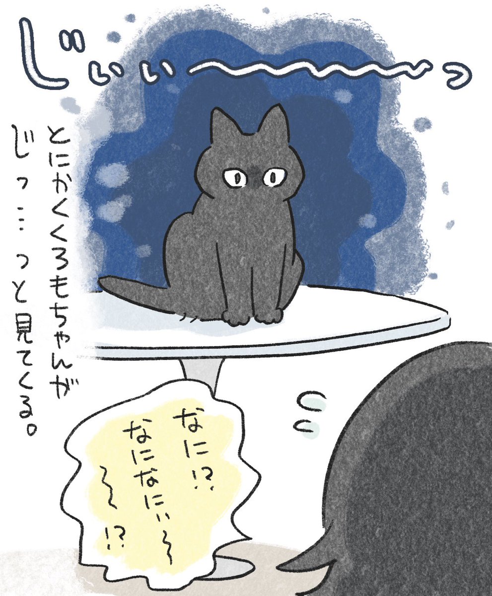 In_s_soi's tweet photo. じぃぃぃぃぃ〜〜〜〜〜。

#今日のねこ https://t.co/wYa4NAtnic
