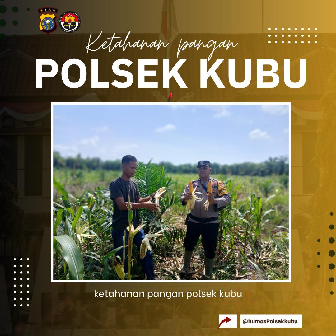 joedhattnt's tweet photo. Bhabinkamtibmas Polsek Kubu melakukan kegiatan pengecekan ketahanan pangan di wilkum polsek kubu

#polsekkubu
#polisicintapetani
#swasembadapangan
#ketahananpangan https://t.co/z2p0znvTaE