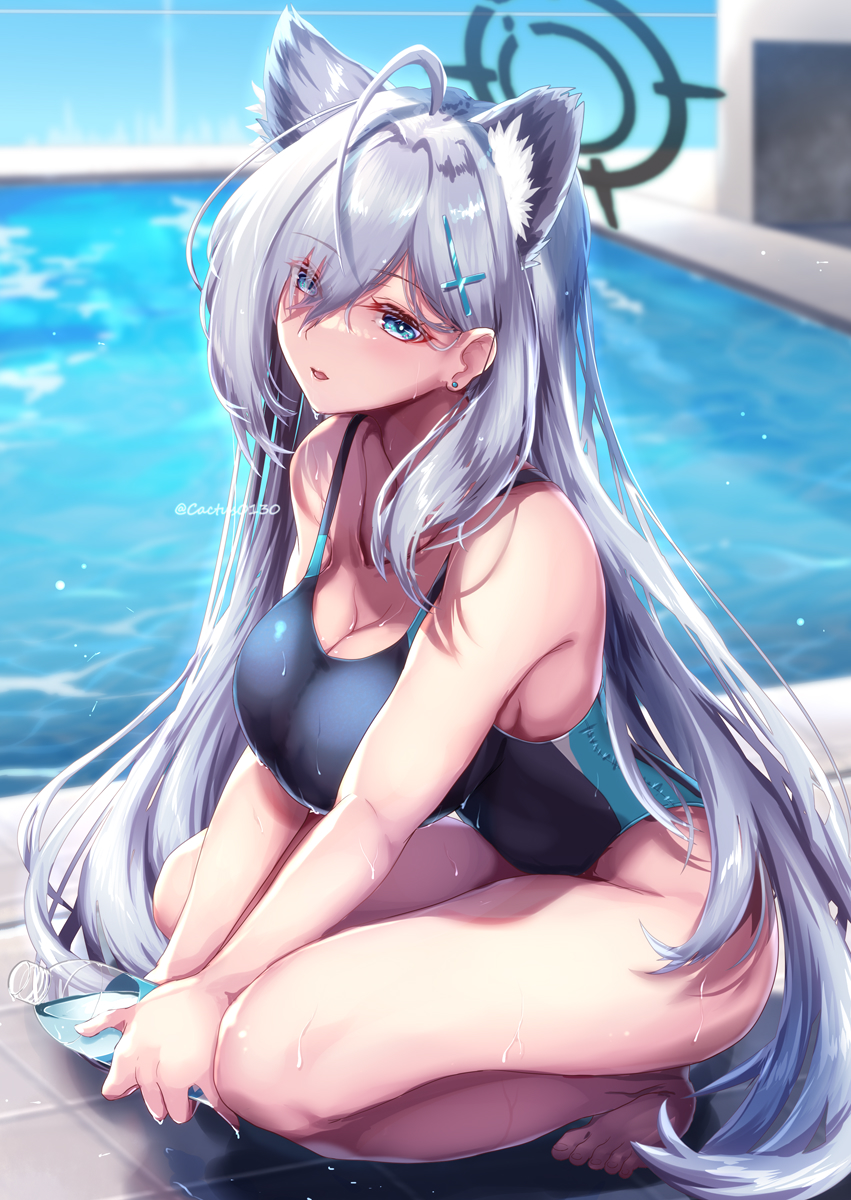 砂狼シロコ(ブルアカ) ,砂狼シロコ(水着) ,砂狼クロコ 「水着クロコだと…?」|さぼてん定食🐰のイラスト