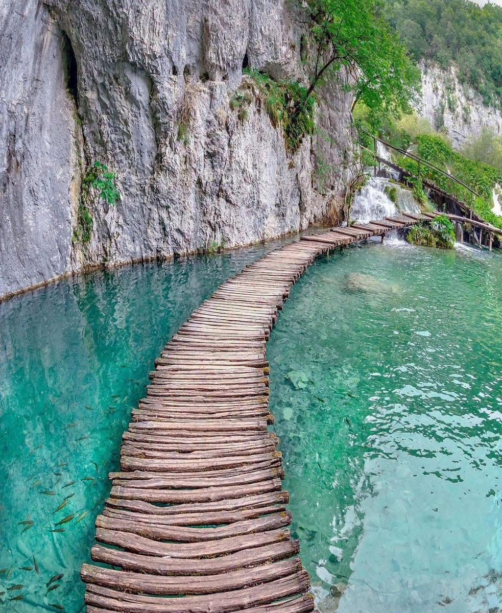 ConfidentialUn's tweet photo. Wooden footbridge is located in Plitvice Lakes National Park in Croatia

The boardwalks are part of a UNESCO World Heritage Site, designed to let guests explore without disturbing the delicate karst ecosystem

Photographer: @kyrenian https://t.co/NpRE1N5QI3
