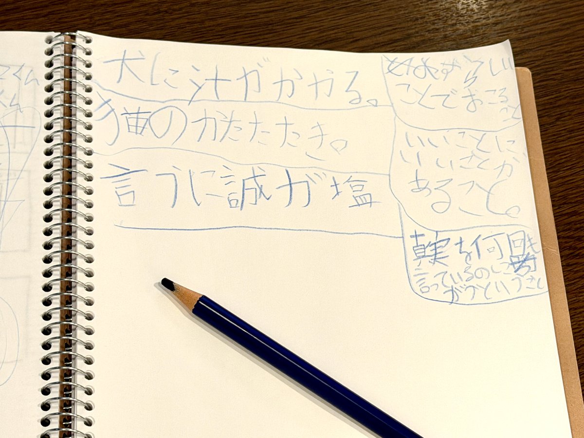 maruiTTR's tweet photo. 小3の息子が最近、自作ことわざにハマってる。

【犬に汁がかかる】
珍しいことが起こること

【猫のかたたたき】
いいことがあるのに、さらにいいことがあること

【言うに誠が塩（いうにまことがしお）】
本当のことを何回言っても「違う」と言われること

最後だけ急に人生を知りすぎてる。 https://t.co/xGDd0EtHMG