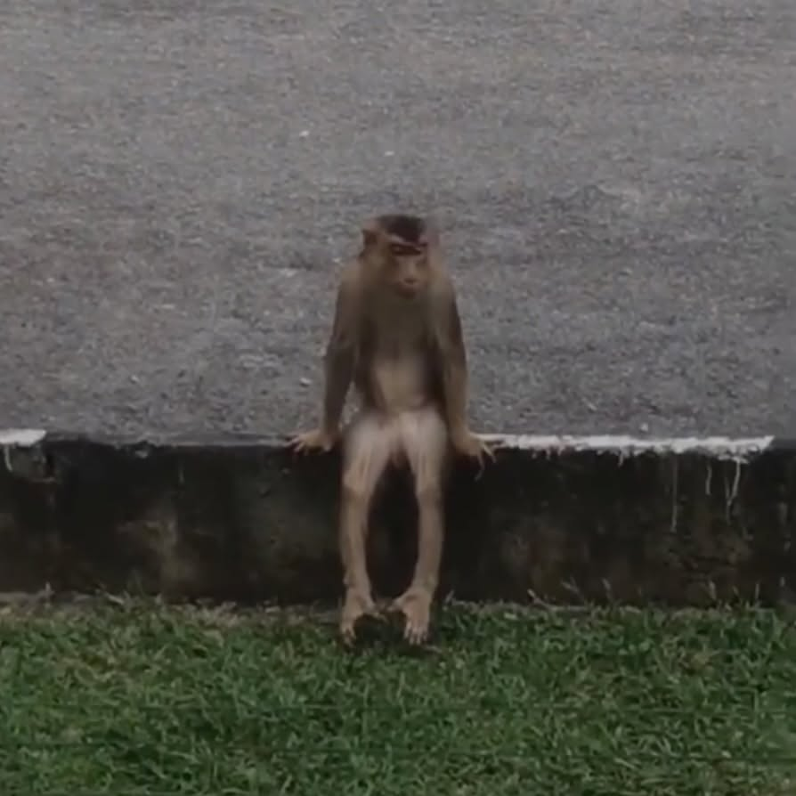 monkeyincrisis's tweet photo. missing someone who doesn’t miss me https://t.co/V8aY42530j