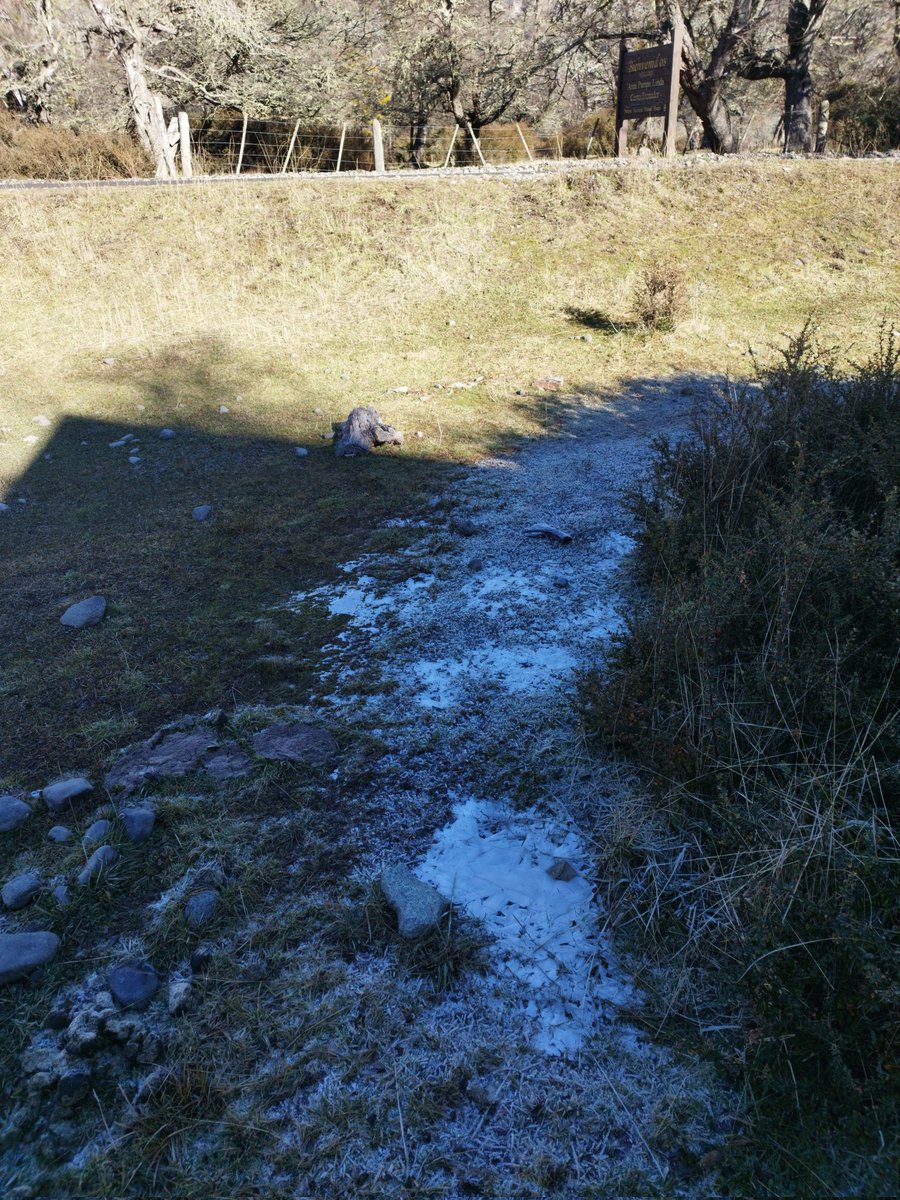 MarioFloripaSC's tweet photo. ❄️🏔️ https://t.co/KBRLE8XZK6
