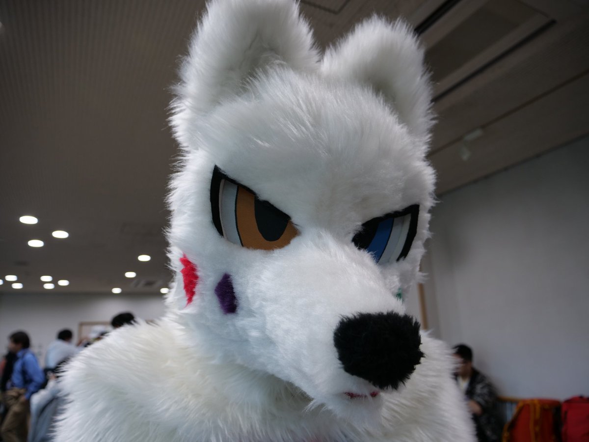 8dai_suekei's tweet photo. ありがとうございます！
便乗してみますね！
✨🦊✨
#かられたい人いいね https://t.co/NzkDCD7ft0
