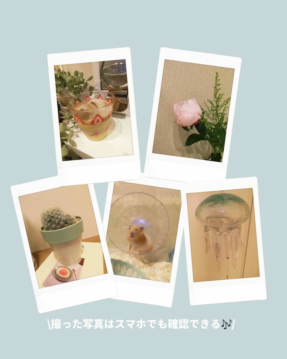 fujifilmjp_ck's tweet photo. /
雨の日はおうちで☔️
\
雨の日はinstax Palで
おうちの中で写真を撮ってみませんか?
何気ない一コマも
Palを使えばおしゃれに撮れちゃう🎶
#instax #チェキ #instaxPal #instaxminiLink3 https://t.co/CE0FcII6Vo