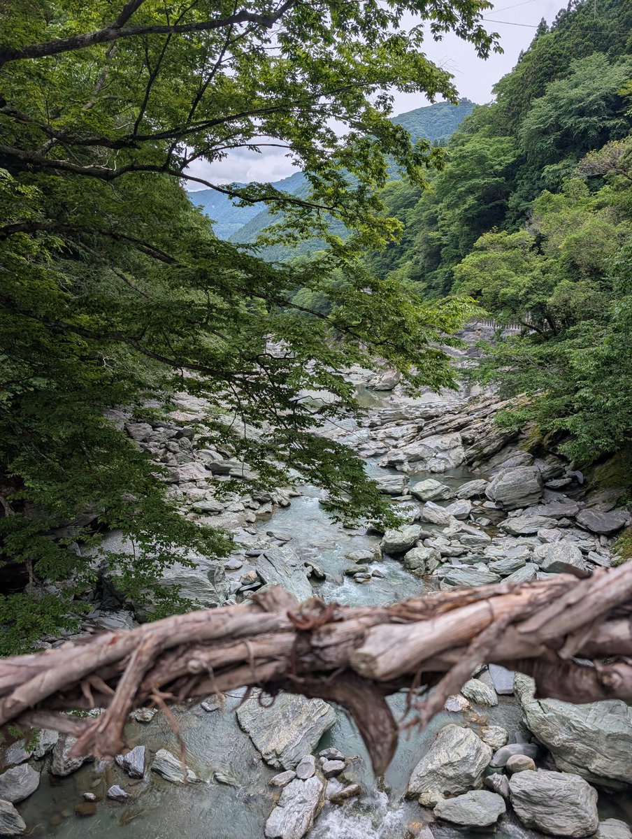 micchi_208's tweet photo. かずら橋こえー https://t.co/5HaJGbam0O