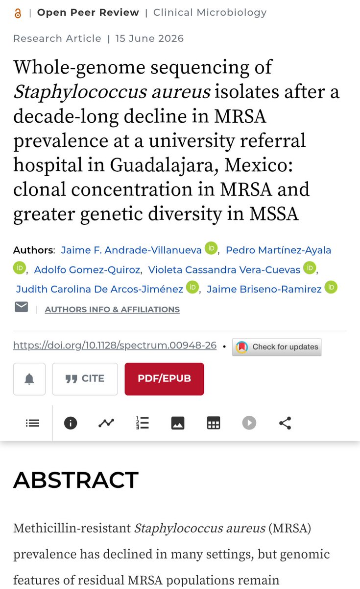 jaibri1's tweet photo. 🧬🔬 PRESENTAMOS NUESTRO NUEVO ARTICULO : Whole-genome sequencing of Staphylococcus aureus isolates after a decade-long decline in MRSA prevalence at a university referral hospital in Guadalajara, Mexico. Microbiology Spectrum, 2026.
❓ Ayer planteábamos una pregunta:
¿por qué MRSA parece estar disminuyendo de forma sostenida en nuestra región?
🧬 Hoy compartimos parte de la respuesta desde el genoma.