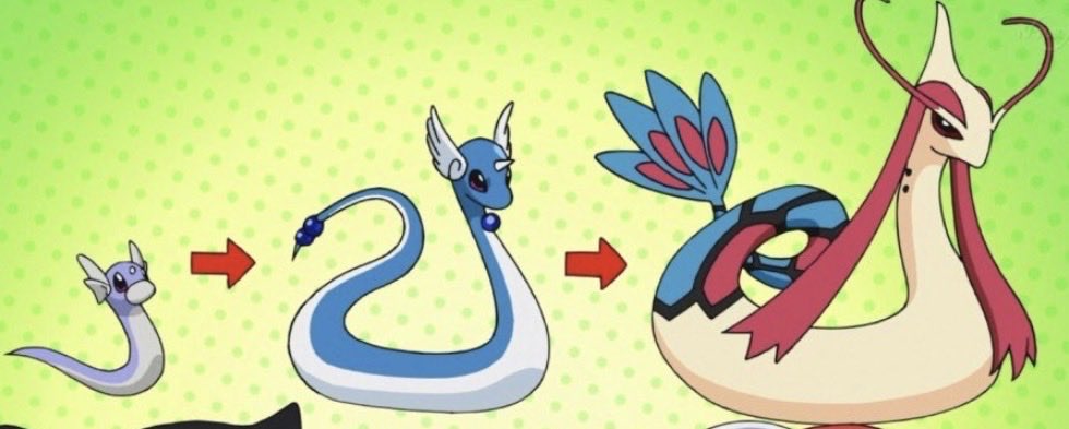 POBrevive5d's tweet photo. @KGPrestige Well it’s a sea-snake and I dose grow up from a lil sea-snake to chid sea-snake to a adult sea-snake which I could try to add infos of this beautiful creature that is located in the ocean ok because it was the savior of fishes that are endangered to others sea predators ok https://t.co/7YYGvTenV3