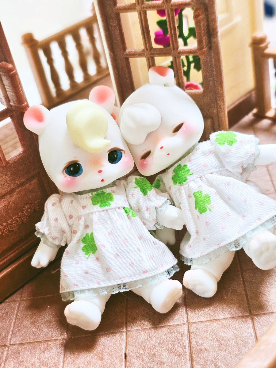 sbm0414's tweet photo. 🍀 
#kumukuku 💤 https://t.co/quAoxrWJEc