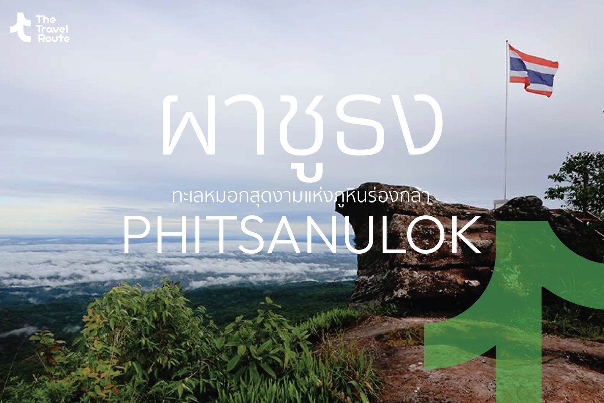 getroute2022's tweet photo. ผาชูธง 🇹🇭 สวยงามดั่งภาพวาด

🌄 เต็มไปด้วยทะเลหมอกสีขาว ตัดกับทิวทัศน์ภูเขาเขียวขจี อากาศเย็นสบาย พร้อมด้วย #ลานหิน และยลโฉม #ดอกเปราะภูขาว ที่เริ่มบานแล้ว 🌿

📷 สวยขนาดนี้ต้องไปเที่ยวที่ #อุทยานแห่งชาติภูหินร่องกล้า #พิษณุโลก

CR. อุทยานแห่งชาติภูหินร่องกล้า
#TheTravelRoute https://t.co/09H6yuFzmv