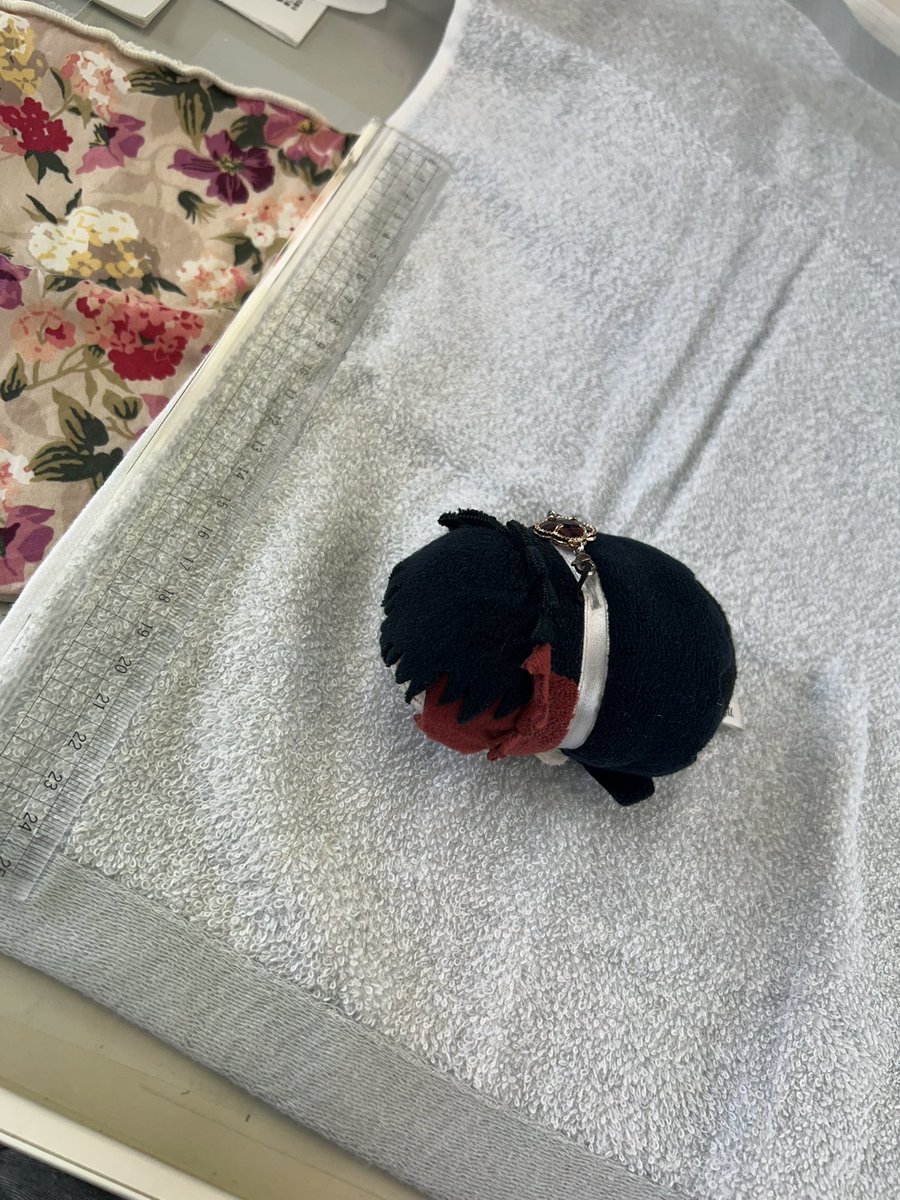 kle8tri's tweet photo. フーン698円かー、今治産やし、イイお値段してもしゃーないわな〜と思ってたけど、そもそも50×50㎝の今治タオルを698円で買っちゃってよろしいんですか？？？？？倍はするでしょ？？？？？

なお、普段はこの物差しのサイズだそう。 https://t.co/tQrGRD5DeK