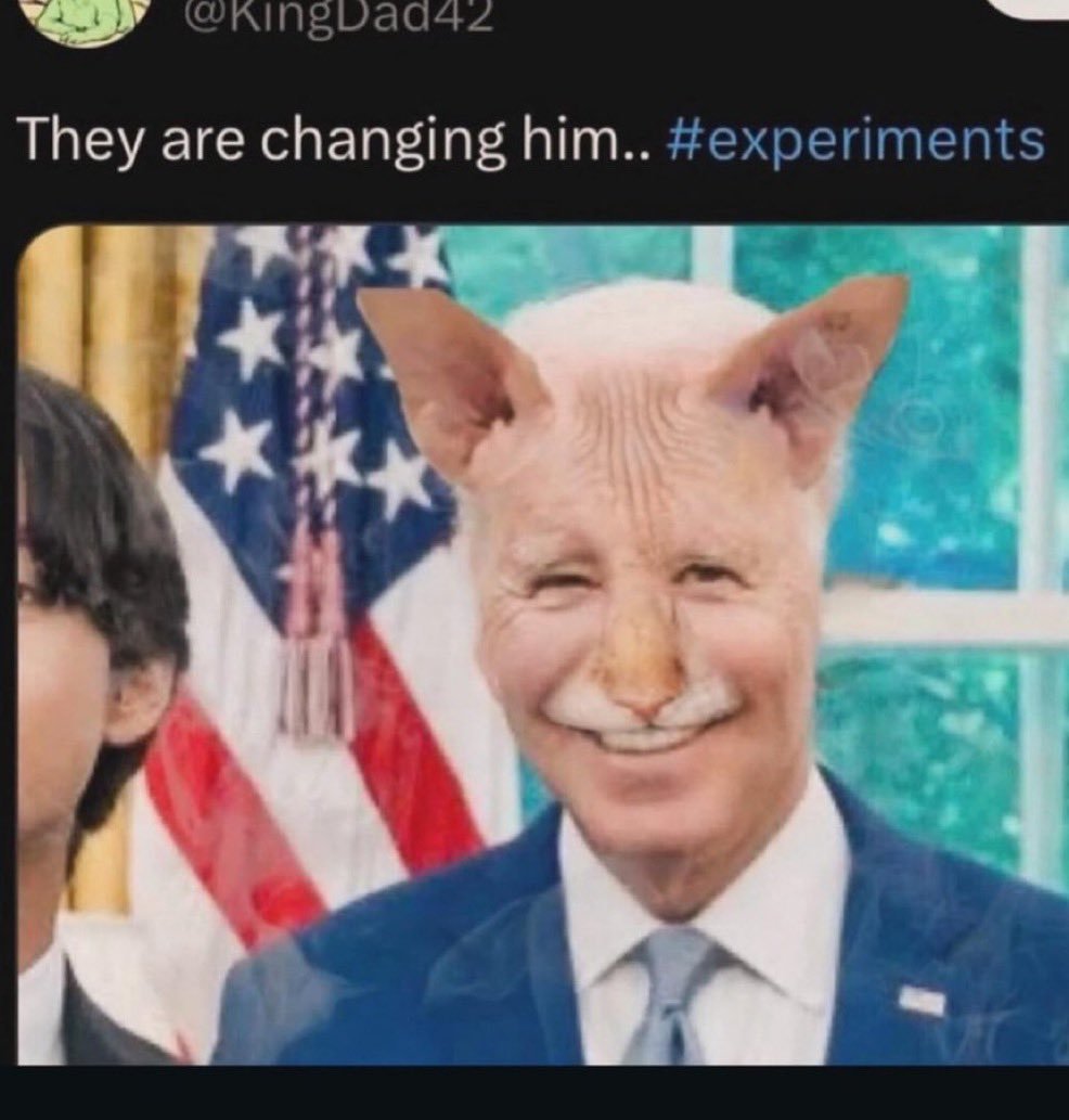 himefuudanshi's tweet photo. @acidematli LMAO #noexperiments makes me think of the evil version of this https://t.co/ynskn0Mjoo