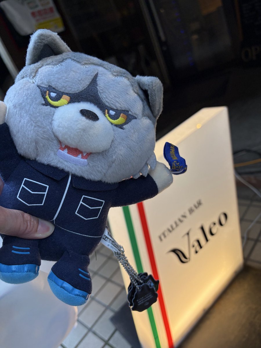 bd85g3's tweet photo. 先日のプチガウ会①🐺
久々に喋って飲んで凄く楽しかった🥰
色々本当に有難うございました🙇‍♀️
しらすのフリッター、ペコリーノチーズ、お任せパスタ、マルゲリータ🍕😋
カシオレのマドラーをストローと間違える事数回🤣 https://t.co/8ofPzvaID1