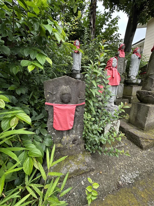 ……私は地蔵ではないのだが…… と言う顔をしていらっしゃる